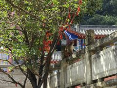 -黔灵山公园