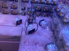 -快乐街区(重庆龙湖时代天街店)