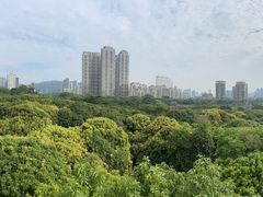 -金粿粿·牛肉粿