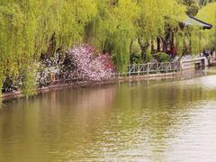 -南汇桃花村
