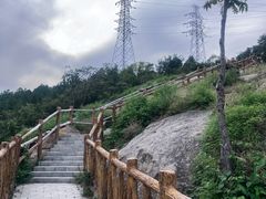 -白水寺森林公园