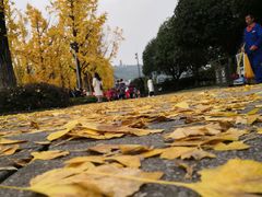 -两江幸福广场