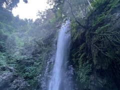 -莫里热带雨林景区