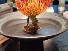 -大拙里·精致融合菜(沙湖桃源国际店)