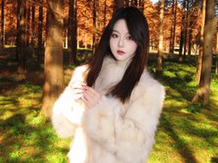 -黄海国家森林公园