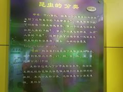 -上海昆虫博物馆