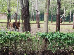 -秦皇岛野生动物园