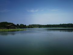 -溱湖国家湿地公园