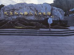 -北京西山国家森林公园