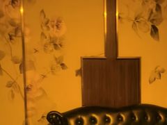 -花湖会所·高端水疗商务泡浴SPA(高新店)