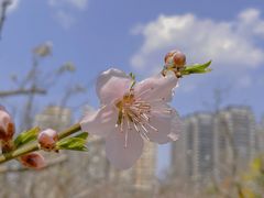 -云南艺术学院(呈贡校区)