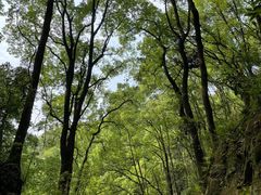 -巴倒烫陆派重庆火锅(南山店)