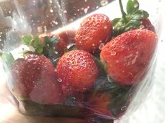 -瓦洛洛传统市场