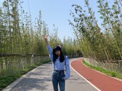 -上海长兴岛郊野公园