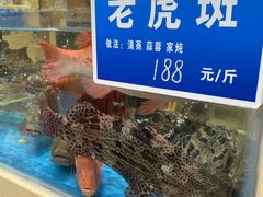 -双井轩(双井店)