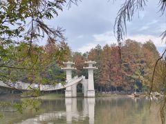 -东湖落雁景区