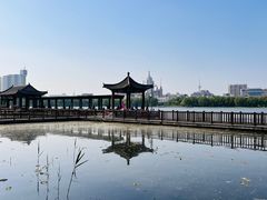 -莲花池公园