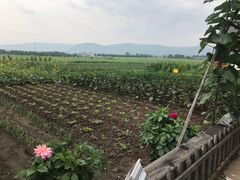 -中国最北一家