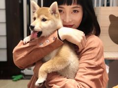 -逗柴咖啡屋·狗咖猫咖宠物桌游