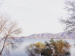 -西柏坡纪念馆