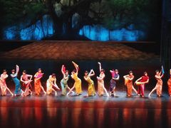 -顺德演艺中心大剧院