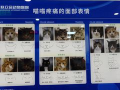 -美联众合动物医院·24h转诊中心