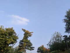 -莫子山公园