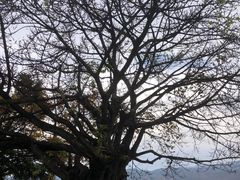 -西昌邛海宾馆