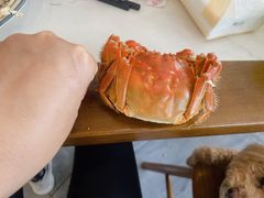 -蟹天蟹地农家菜·阳澄湖大闸蟹(浅水湾店)