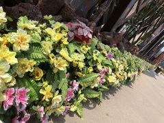 -呀路古热带植物园