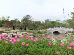 -西海子公园