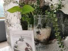 -农畉LONFOOD(福田星河COCOPark店)