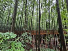 -山王坪喀斯特国家生态公园