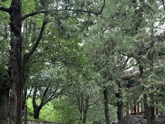 -香山公园-东宫门售票处