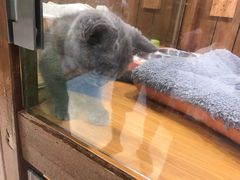 -龟与熊猫宠物公园(南坪店)