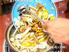 -菌之家·专业纯野生菌火锅·特色炒菌