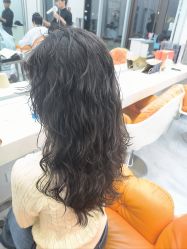 -豪斯塔美发连锁