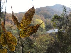 -终南山古楼观历史文化景区