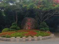 -野狸岛