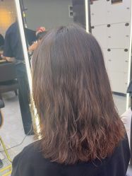 -藤野造型烫发染发