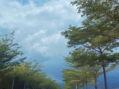 -一嗨租车(凤凰机场店)