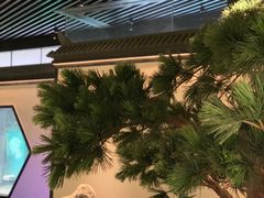 -绿茶餐厅(成都大悦城店)