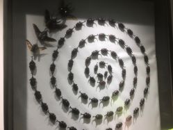 -酷嗒动物文化乐园(cutezoo西溪乐天城店)