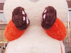 -吾悦广场(渭南店)