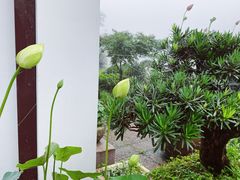 -曾福兴