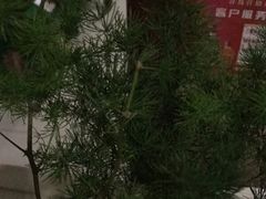-永安烧烤