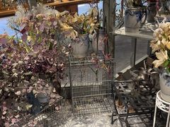 -淮国旧H22·中古店