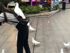 -南昌之星游乐场