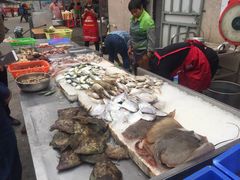 门面-霞海鸭仔饭店(海滨大道北店)