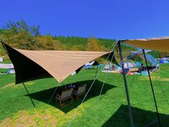 -武陵山森林公园